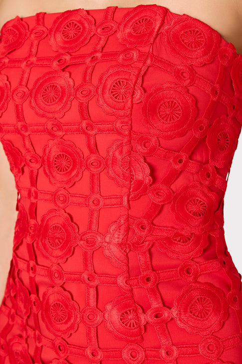 Red lace strapless dress on a white background