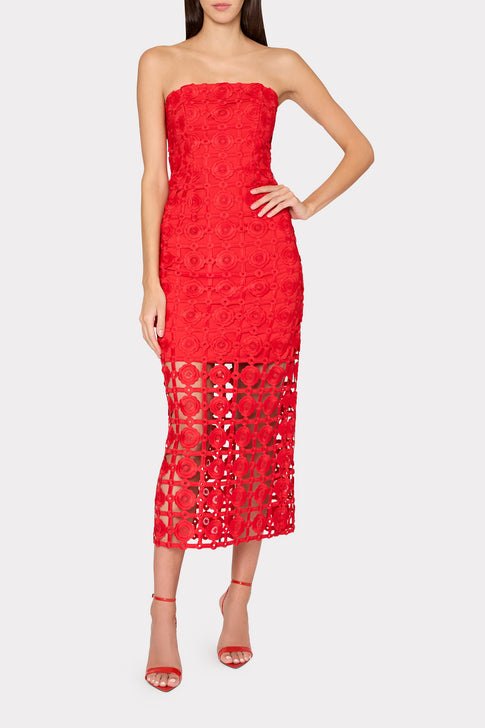 Red lace dress on model with white background